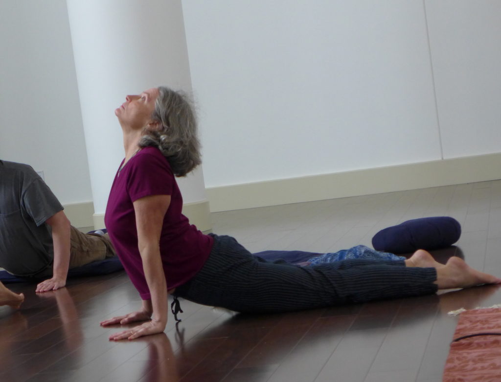 Dharmakaya Center for Wellbeing, Cragsmoor, New York Yoga and